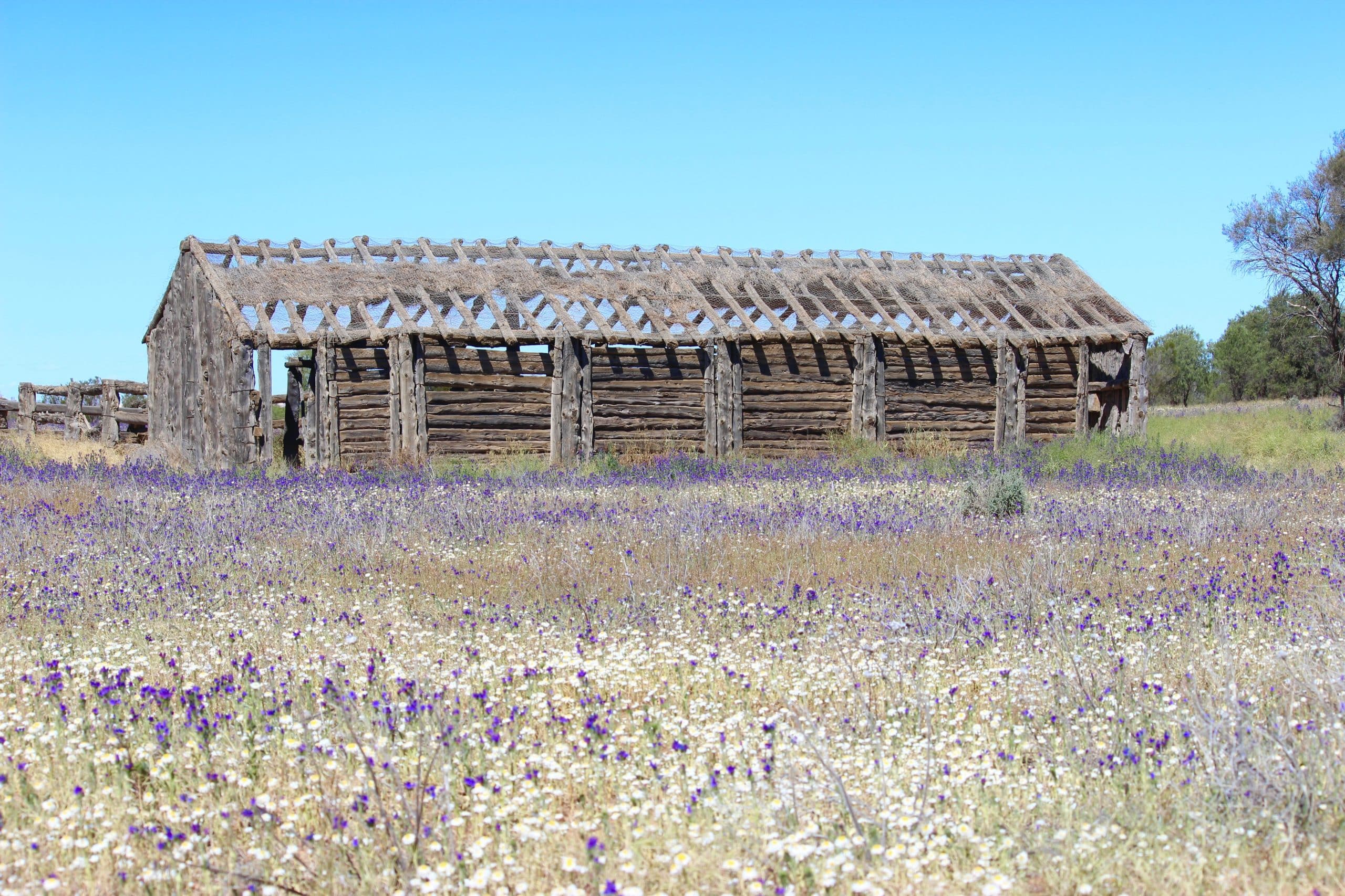 Timber Garden Structures and Their Related Problems