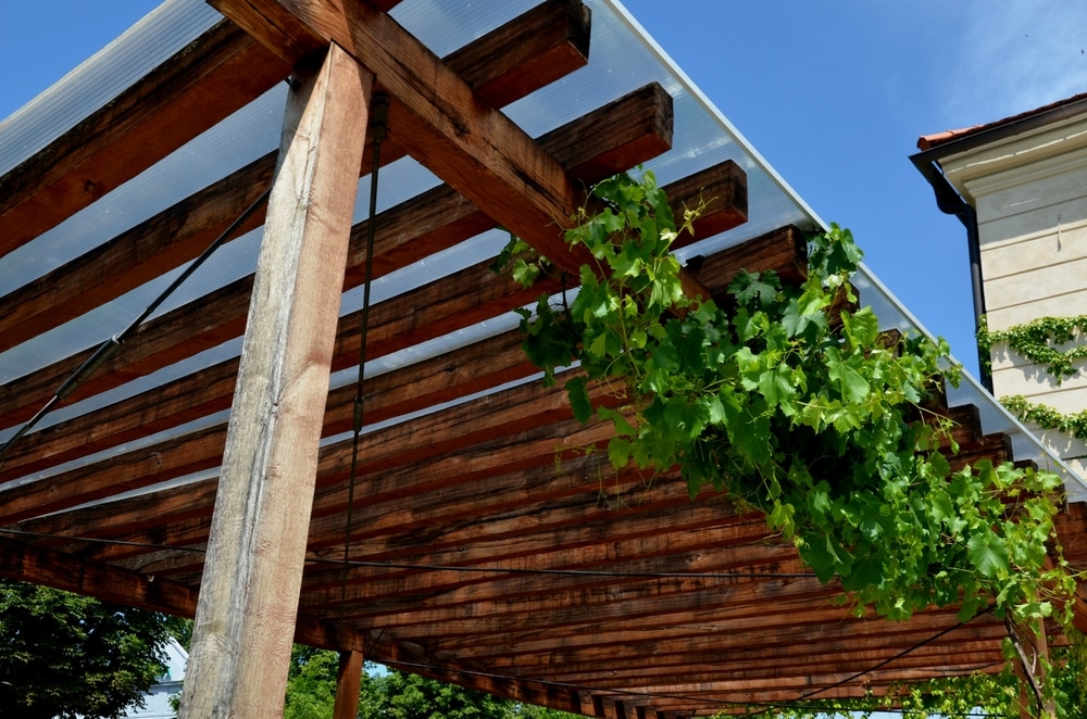Understanding Wooden Pergolas - Pheasant and Co