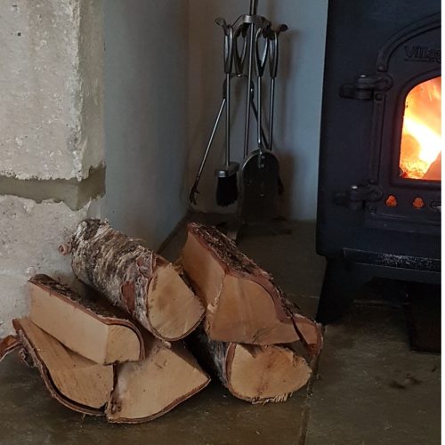 ashbylogs09102018 Ashby logs in a small pile next to burning fire place